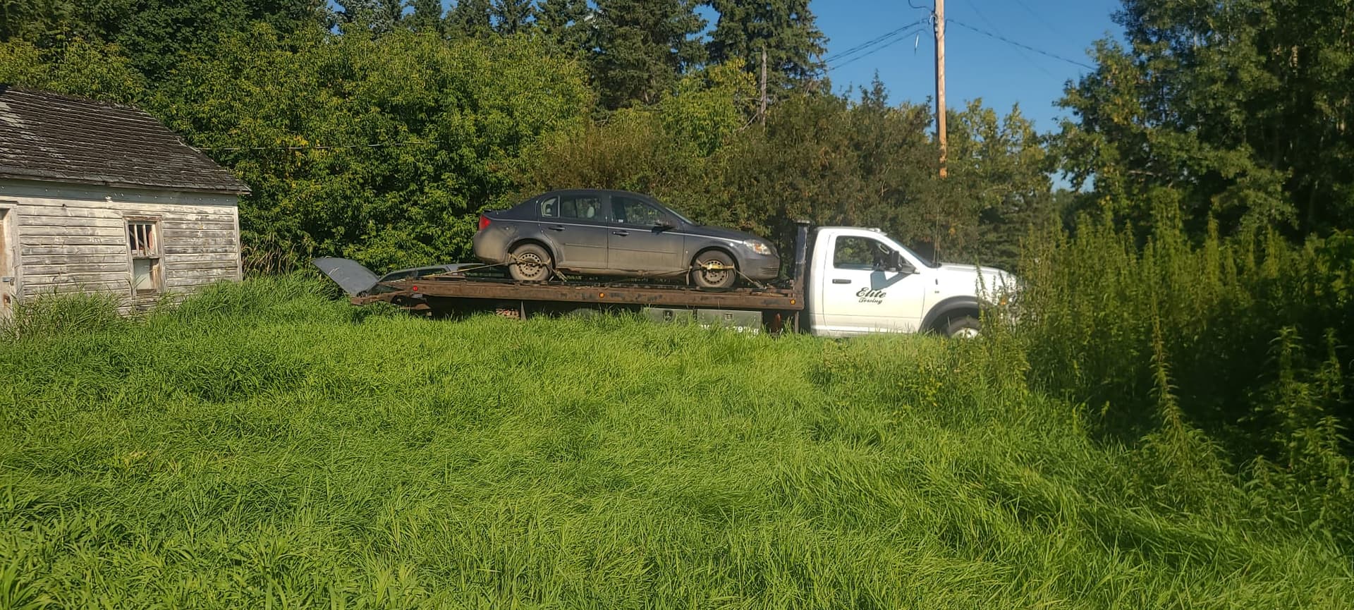 Cash for cars pickup service in Tofield